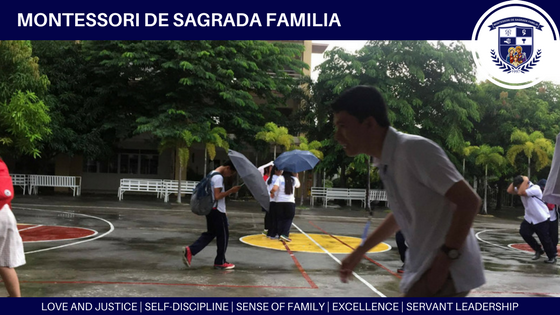 MDSF, I'm rain ready