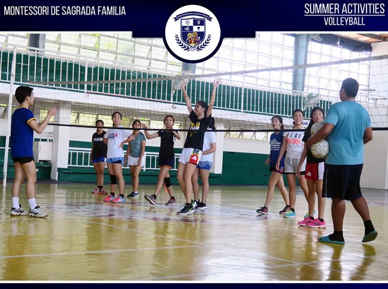 MDSF summer programs 2017 MDSF summer programs 2017