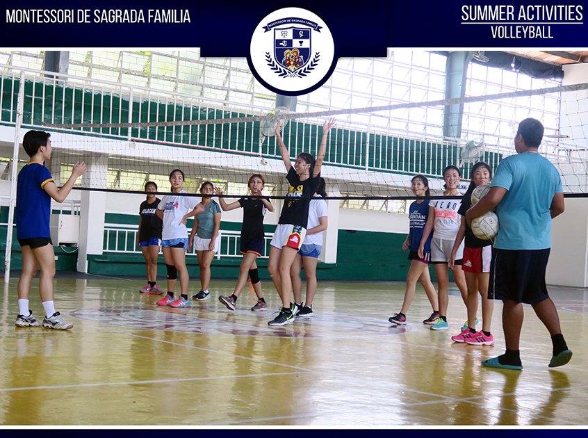 MDSF summer programs 2017 MDSF summer programs 2017