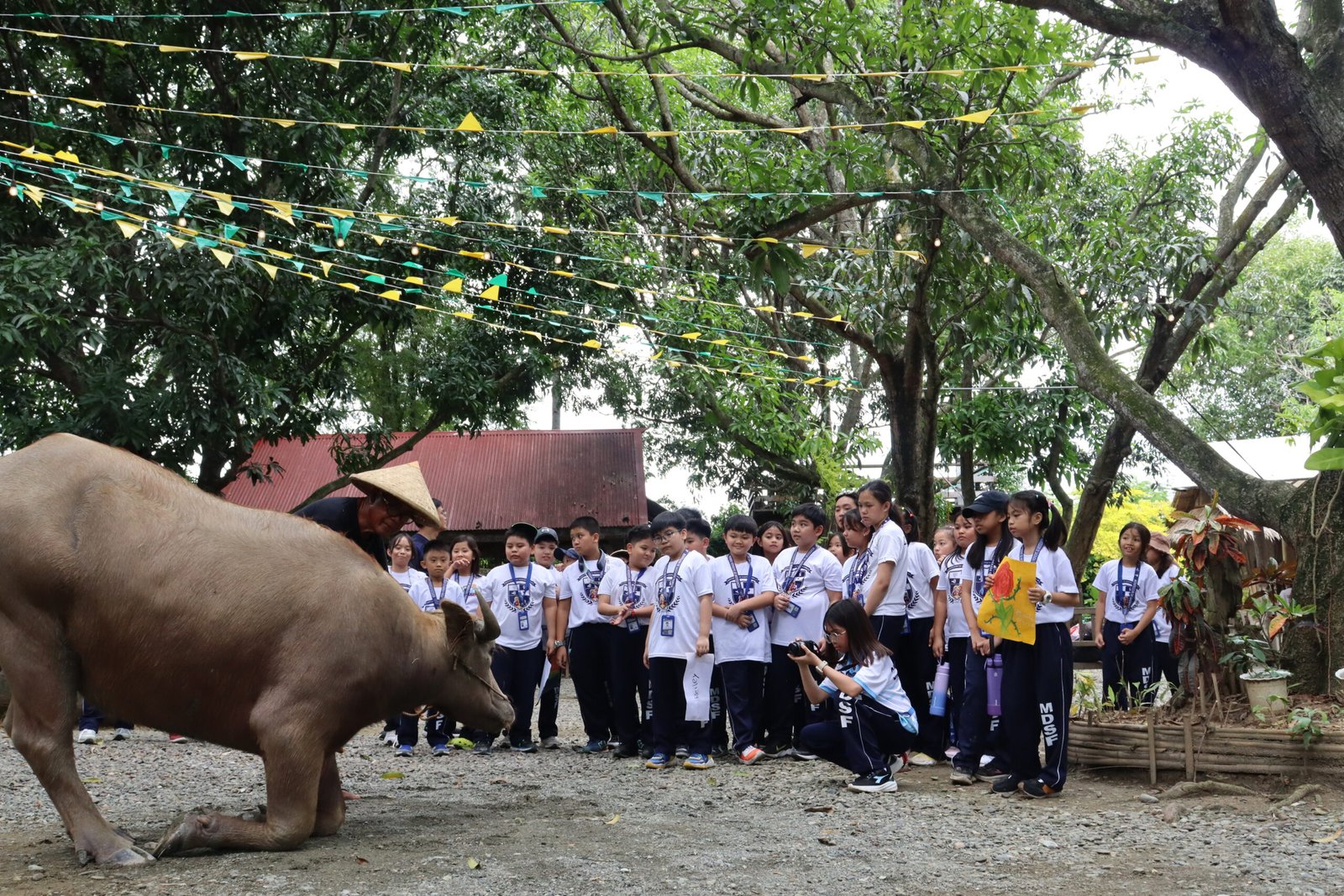 MDSF Grade School explores big ideas, trips beyond the classroom | Montessori De Sagrada Familia, Inc | Tangos, Baliwag, Bulacan