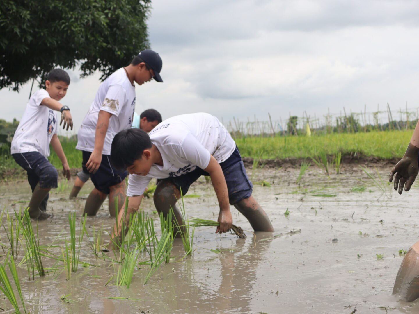 ‘Farm Life’ experience yields key lessons to reap in TLE 6 | Montessori De Sagrada Familia, Inc | Tangos, Baliwag, Bulacan