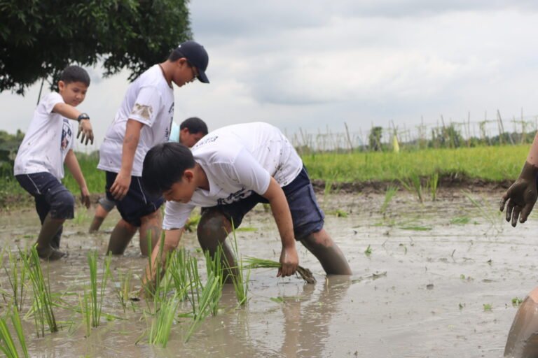‘Farm Life’ experience yields key lessons to reap in TLE 6 | Montessori De Sagrada Familia, Inc | Tangos, Baliwag, Bulacan