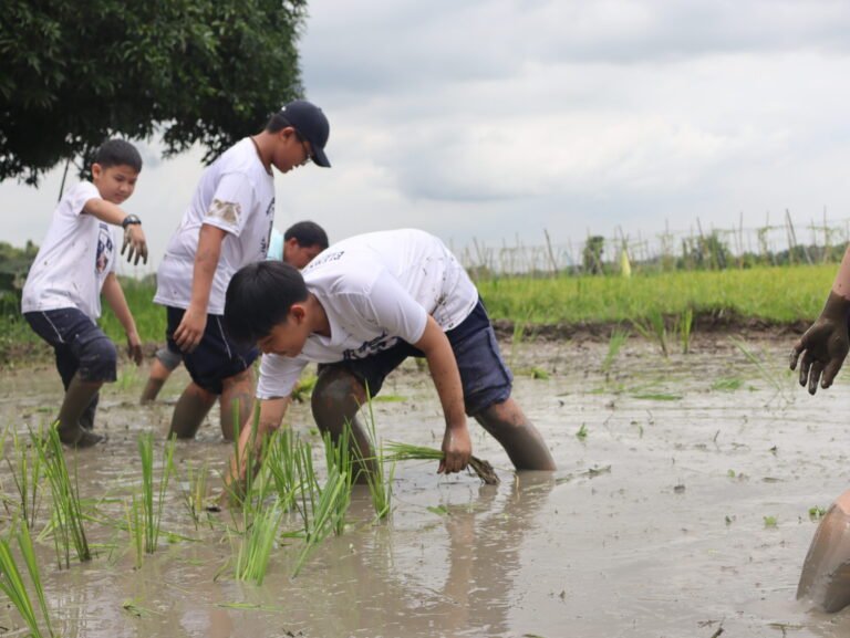 ‘Farm Life’ experience yields key lessons to reap in TLE 6 | Montessori De Sagrada Familia, Inc | Tangos, Baliwag, Bulacan ‘Farm Life’ experience yields key lessons to reap in TLE 6 | Montessori De Sagrada Familia, Inc | Tangos, Baliwag, Bulacan
