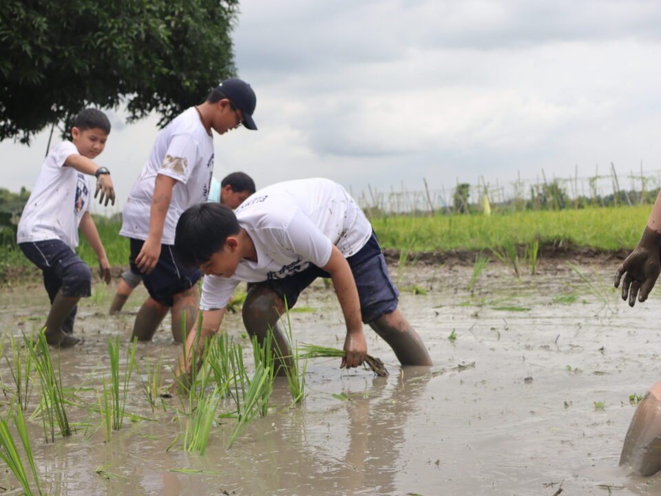 ‘Farm Life’ experience yields key lessons to reap in TLE 6 | Montessori De Sagrada Familia, Inc | Tangos, Baliwag, Bulacan ‘Farm Life’ experience yields key lessons to reap in TLE 6 | Montessori De Sagrada Familia, Inc | Tangos, Baliwag, Bulacan